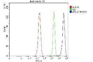 Flow Cytometry analysis of ANA-1 cells using anti-Ataxin 1 antibody (ABIN7602773).