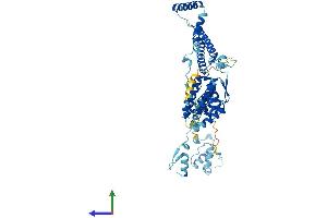 AlphaFold protein structure predicition of Human Recombinant SF3A3 Protein, UniprotID Q12874