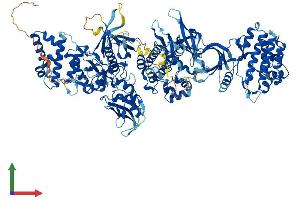 AlphaFold protein structure predicition of Human Recombinant JAK2 Protein, UniprotID O60674