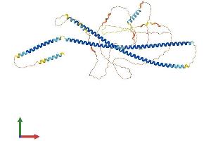 AlphaFold protein structure predicition of Human Recombinant BFSP1 Protein, UniprotID Q12934