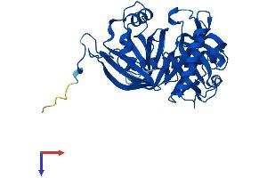 AlphaFold protein structure predicition of Human Recombinant L3HYPDH Protein, UniprotID Q96EM0