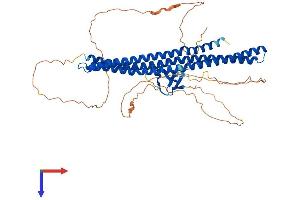 AlphaFold protein structure predicition of Human Recombinant BAIAP2L2 Protein, UniprotID Q6UXY1
