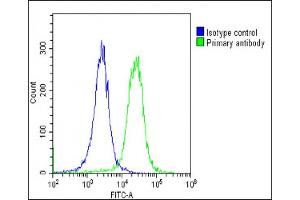 Overlay histogram showing HeLa cells stained with (ABIN6243826 and ABIN6578813)(green line).