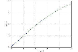 Microtubule-Associated Protein 1 Light Chain 3 beta (MAP1LC3B) ELISA Kit