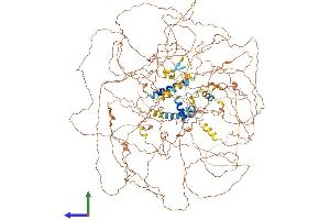 AlphaFold protein structure predicition of Mouse Recombinant Bcl9l Protein, UniprotID Q67FY2