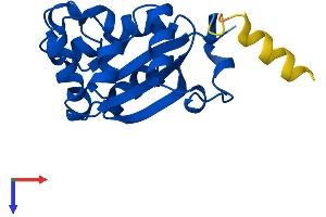 AlphaFold protein structure predicition of Mouse Recombinant Nme3 Protein, UniprotID Q9WV85