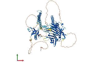 AlphaFold protein structure predicition of Mouse Recombinant Osbpl11 Protein, UniprotID Q8CI95