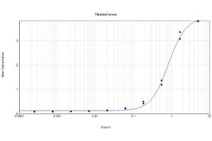 anti-Mutarotase antibody (HRP)