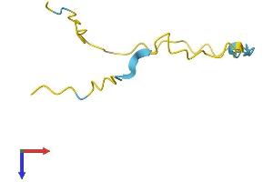 AlphaFold protein structure predicition of Human Recombinant NREP Protein, UniprotID Q16612