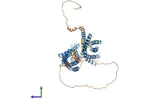 AlphaFold protein structure predicition of Human Recombinant OTOP1 Protein, UniprotID Q7RTM1