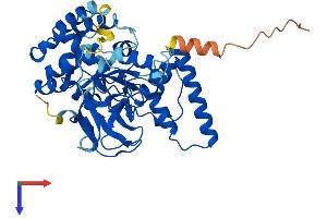 AlphaFold protein structure predicition of Human Recombinant SMYD5 Protein, UniprotID Q6GMV2