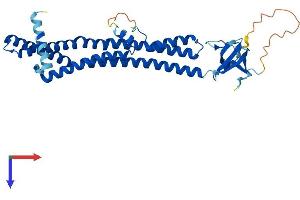 AlphaFold protein structure predicition of Human Recombinant SH3GL3 Protein, UniprotID Q99963