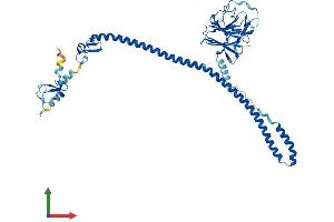 AlphaFold protein structure predicition of Human Recombinant TRIM72 Protein, UniprotID Q6ZMU5