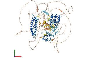 AlphaFold protein structure predicition of Human Recombinant BAG6 Protein, UniprotID P46379
