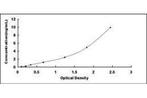Typical standard curve (KRT16 Kit ELISA)