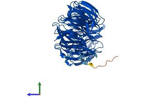 AlphaFold protein structure predicition of Human Recombinant EML2 Protein, UniprotID O95834
