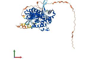 AlphaFold protein structure predicition of Human Recombinant DNAAF3 Protein, UniprotID Q8N9W5