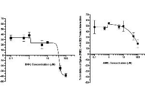 Effect of Bromhexine Hydrochloride (BHH) and Ambroxol Hydrochloride (AMB) on the interaction of rhACE2 with SARS-CoV-2 Spike (RBD) protein Interaction: A.