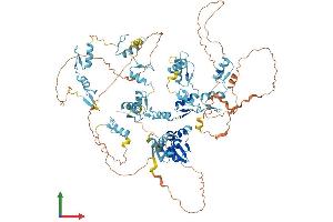 AlphaFold protein structure predicition of Human Recombinant ZBTB41 Protein, UniprotID Q5SVQ8