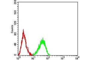 anti-Jagged 1 (JAG1) (AA 47-212) antibody
