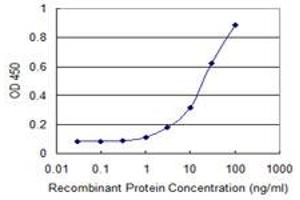 Detection limit for recombinant GST tagged HIPK2 is 0. (HIPK2 anticorps  (AA 961-1065))