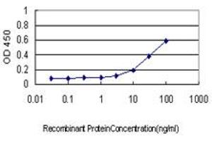 Detection limit for recombinant GST tagged TPP1 is approximately 0.