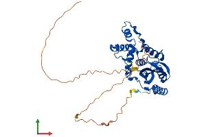 AlphaFold protein structure predicition of Human Recombinant VASH2 Protein, UniprotID Q86V25