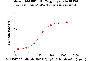 ELISA plate pre-coated by 2 μg/mL (100 μL/well) Human IG Protein, hFc Tag (ABIN7455420, ABIN7490689 and ABIN7490691) can bind Anti-IG antibody, IgG1 Chimeric mAb in a linear range of 3.