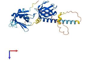 AlphaFold protein structure predicition of Mouse Recombinant Dok5 Protein, UniprotID Q91ZM9