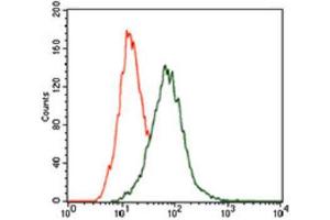 Flow Cytometry (FACS) image for anti-Mitogen-Activated Protein Kinase 14 (MAPK14) (AA 299-360) antibody (ABIN1845584)