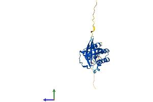 AlphaFold protein structure predicition of Mouse Recombinant Rab5c Protein, UniprotID P35278