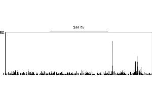 ChIP DNA-Sequencing (ChIP-seq) image for anti-Sp1 Transcription Factor (SP1) (C-Term) antibody (ABIN7458075)