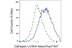 Validation of Cathepsin L/V/K/H knockdown using flow cytometry. (Recombinant Cathepsin LVKH anticorps)