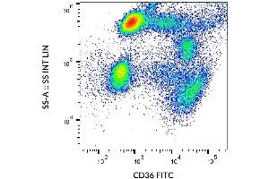 Surface staining of CD36 in human peripheral blood with anti-CD36 (CB38) FITC.