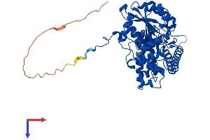 AlphaFold protein structure predicition of Mouse Recombinant Gpt2 Protein, UniprotID Q8BGT5