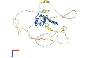 AlphaFold protein structure predicition of Human Recombinant SMAP1 Protein, UniprotID Q8IYB5