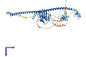 AlphaFold protein structure predicition of Mouse Recombinant Trim41 Protein, UniprotID Q5NCC3
