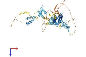 AlphaFold protein structure predicition of Mouse Recombinant Tigd5 Protein, UniprotID Q499M4