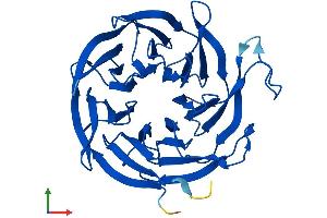 AlphaFold protein structure predicition of Mouse Recombinant Ciao1 Protein, UniprotID Q99KN2