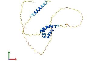 AlphaFold protein structure predicition of Human Recombinant TGIF2LX Protein, UniprotID Q8IUE1