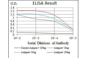 Black line: Control Antigen (100 ng), Purple line: Antigen(10 ng), Blue line: Antigen (50 ng), Red line: Antigen (100 ng), (PAX5 anticorps  (AA 235-382))