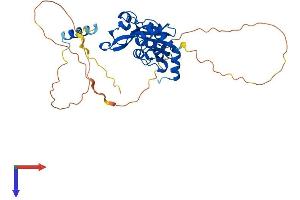AlphaFold protein structure predicition of Human Recombinant ISG20L2 Protein, UniprotID Q9H9L3