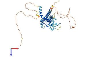 AlphaFold protein structure predicition of Human Recombinant DNTTIP1 Protein, UniprotID Q9H147