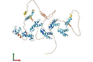 AlphaFold protein structure predicition of Human Recombinant ZNF613 Protein, UniprotID Q6PF04