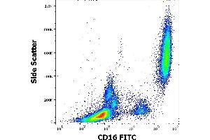 Flow cytometry surface staining pattern of human peripheral whole blood stained using anti-human CD16 (3G8) FITC antibody (4 μL reagent / 100 μL of peripheral whole blood). (CD16 anticorps  (FITC))
