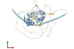 AlphaFold protein structure predicition of Human Recombinant TNIK Protein, UniprotID Q9UKE5