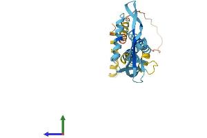 AlphaFold protein structure predicition of Human Recombinant KCNMB3 Protein, UniprotID Q9NPA1
