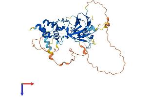 AlphaFold protein structure predicition of Human Recombinant SMAD7 Protein, UniprotID O15105