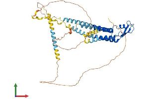AlphaFold protein structure predicition of Mouse Recombinant Gjc2 Protein, UniprotID Q8BQU6