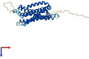 AlphaFold protein structure predicition of Human Recombinant ADORA2B Protein, UniprotID P29275